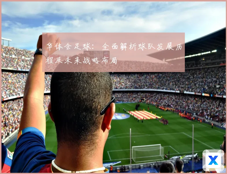 华体会足球：全面解析球队发展历程及未来战略布局