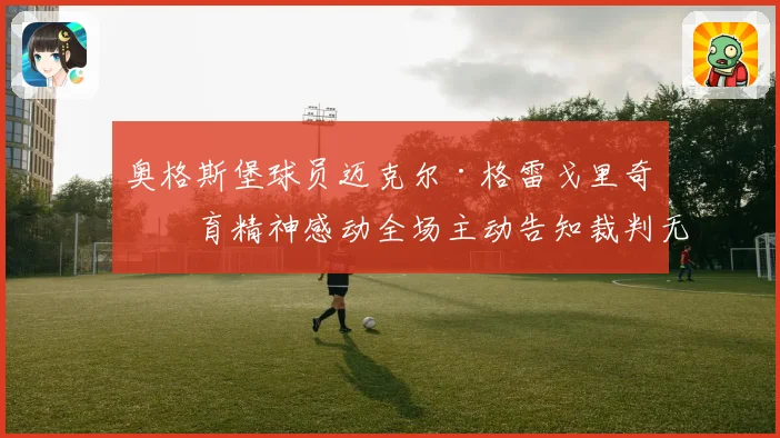 奥格斯堡球员迈克尔·格雷戈里奇体育精神感动全场主动告知裁判无犯规