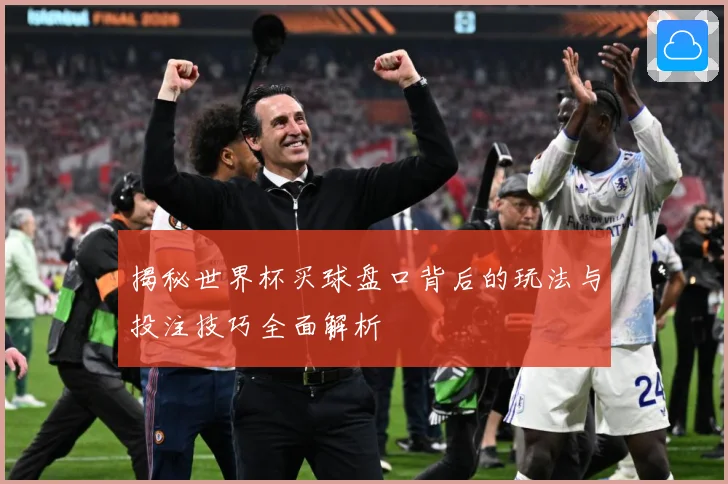 揭秘世界杯买球盘口背后的玩法与投注技巧全面解析