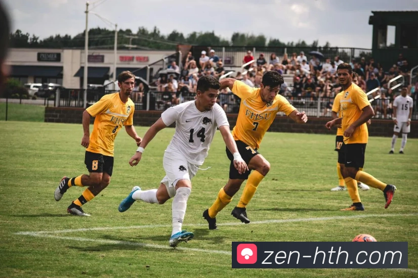 华体会平台展示图