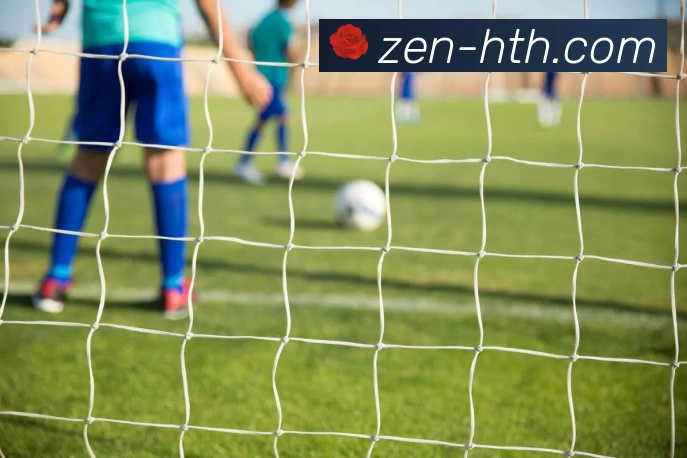 华体会手机版助力体育爱好者畅享精彩赛事直播与互动体验